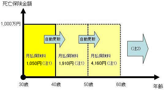 定期保険:10年更新タイプの例 定期保険:10年更新タイプの例