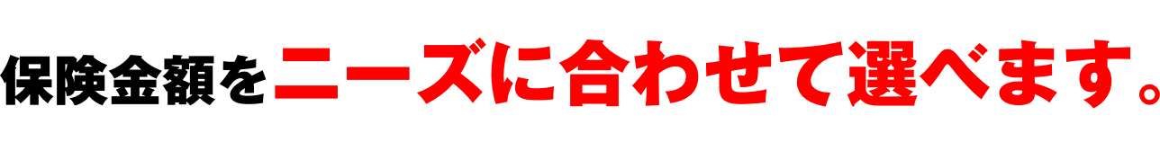 保険金額をニーズに合わせて選べます。