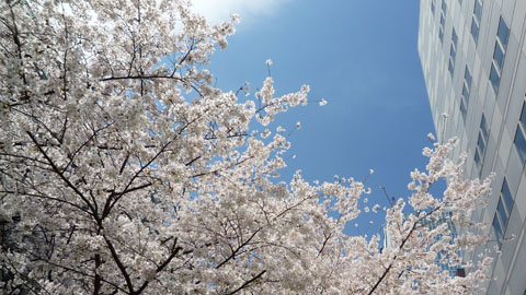 保険選びなら 生命保険の総合代理店ベネフィットコモンズ 生命保険の総合代理店ベネフィットコモンズ